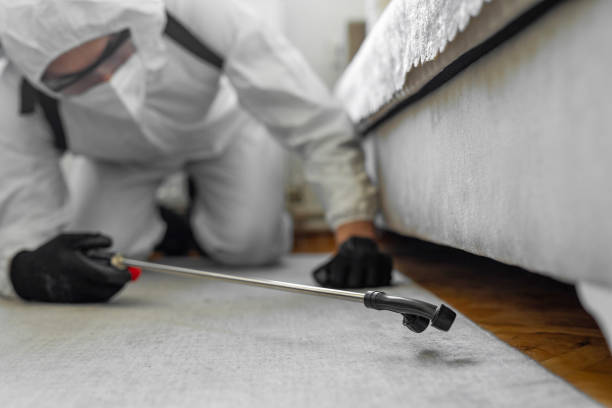 Professional Wasp Control technician working in Pemberton Heights, NJ