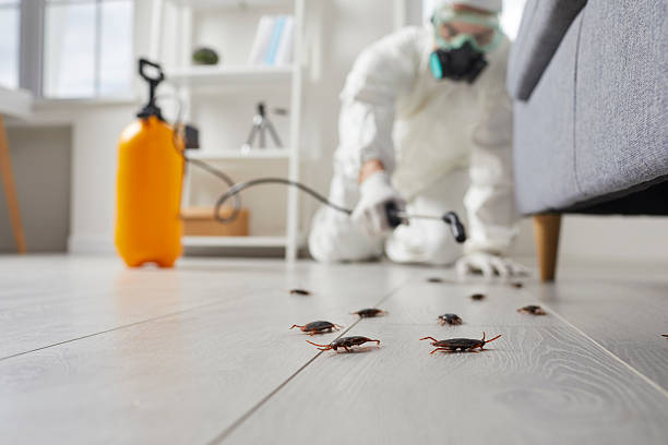 Trusted Rodent Control service in Pemberton Heights, NJ - Nex Pest Control