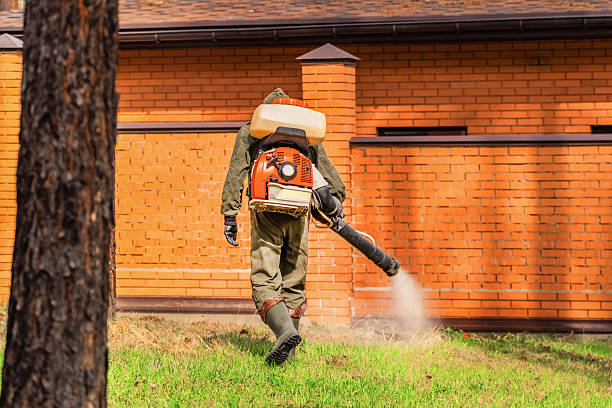 Trusted Cockroach Control service in Pemberton Heights, NJ - Nex Pest Control